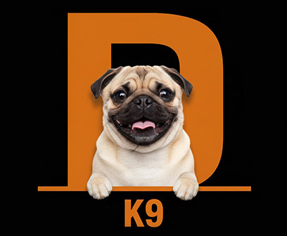 Dog training services