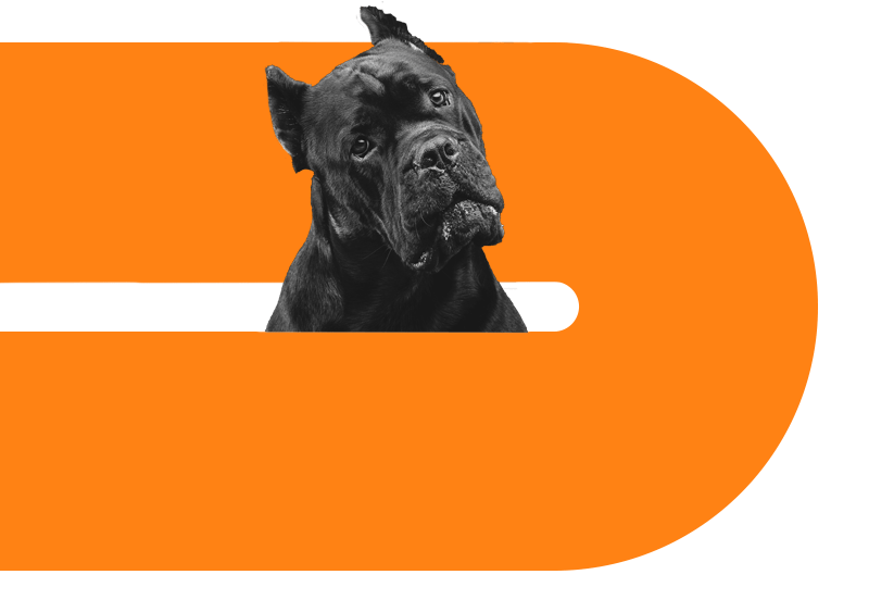 Dog training services