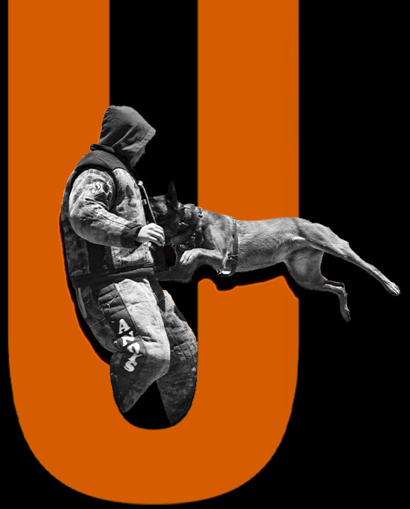 Elite Protection Dog Training