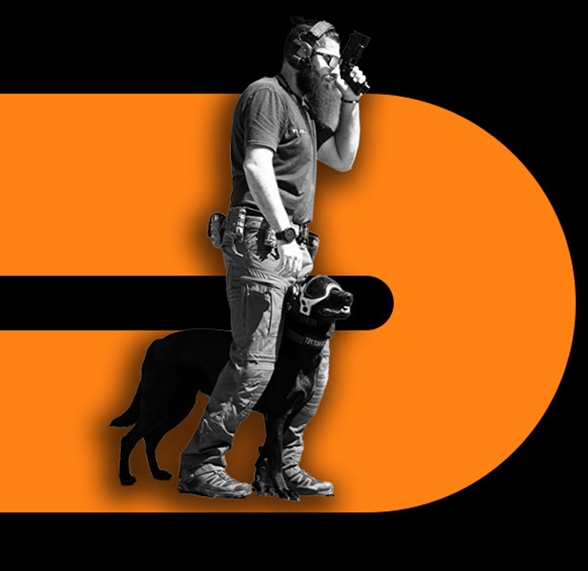 Elite Protection Dog Training