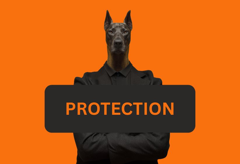 Dog Training Programs